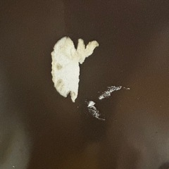 冷蔵庫の画像