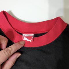 150センチ　ロンTの画像