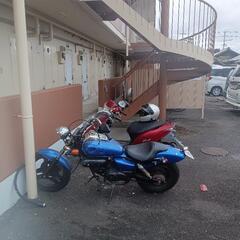 マグナ50