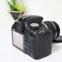 Canon Kiss X3 標準ズームレンズセット 初心者セット 一眼レフの画像