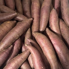 青森県産さつまいも【すずほっくり】1kg～