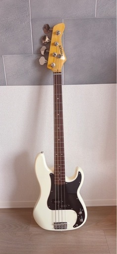 弦楽器、ギター FERNENDES