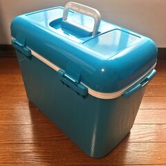 [受け渡し完了]クーラーボックス / color box: 25Lの画像