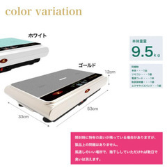 STYLISHJAPANの振動マシン　ダイエット器具の画像