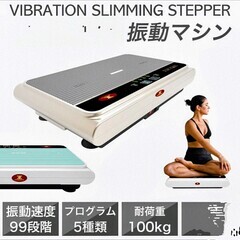 STYLISHJAPANの振動マシン　ダイエット器具