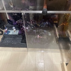 アクリルケース　のみ