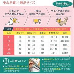 エリザベスカラー　ペット用の画像