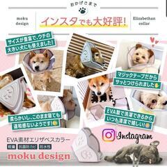 エリザベスカラー　ペット用の画像