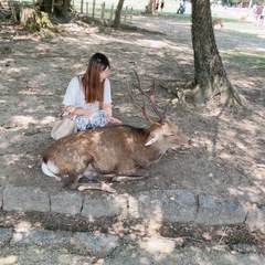 お笑い芸人、さらば青春の光が好きな人