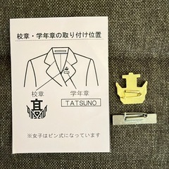 龍野高校　校章、学年章(学年カラー緑)の画像