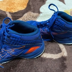 キッズ用バッシュの画像