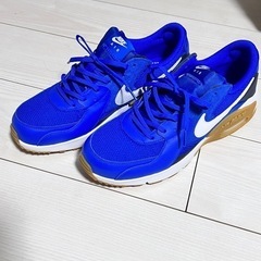 23日（日）まで出品予定NIKE エアマックスエクシー　28cm...
