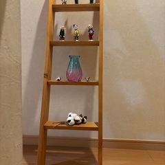 小人と棚　画像の物全ての画像
