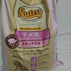 未開封　ニュートロナチュラルチョイス 6KG