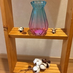 小人と棚　画像の物全ての画像