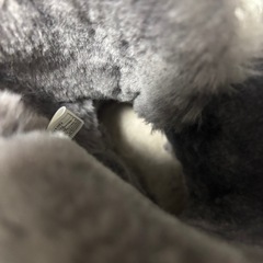ブーツUGGの画像