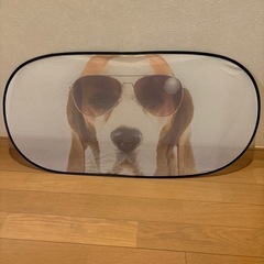 小人と棚　画像の物全ての画像