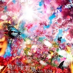 【女性限定】3月30日（日）蜷川実花展に行ける方募集