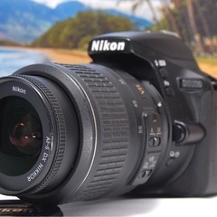 WiFi転送機能搭載 画面回転 自撮りOK Nikon D5600 レンズキットの画像