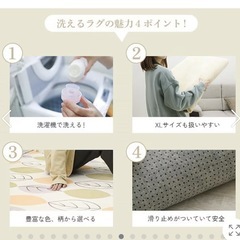 年中使える、洗えるラグマットの画像