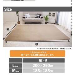 年中使える、洗えるラグマットの画像