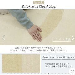 年中使える、洗えるラグマットの画像