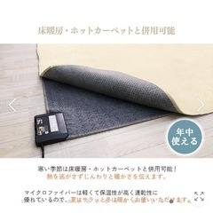 年中使える、洗えるラグマットの画像