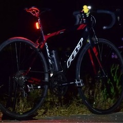 フェルトZ85の画像