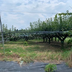 老後は自分でなんでも出来るスキルで田舎暮らしの画像