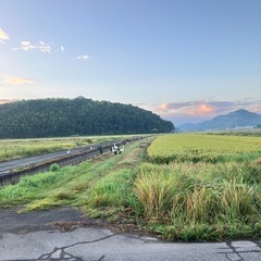 不要なビニールハウス譲って下さい