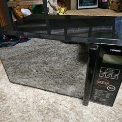 決まりました！TWIN BIRD電子レンジ