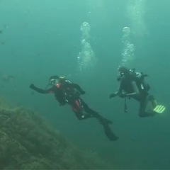 ダイビングしたい方募集！