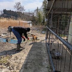 保護しました