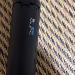 GoPro8の画像