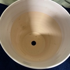 植木鉢 陶器鉢 【J-80V】洋ラン 胡蝶蘭  陶器鉢 化粧鉢 蘭鉢 植木鉢 鉢カバー ホワイト植木鉢の画像