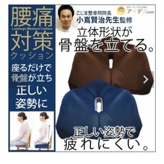 ※3/30までの引渡し 【美品】　コジット 腰痛対策クッション 姿勢 腰痛 の画像