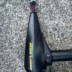 ミンコタエッジマクサム55lb + ACデルコ　バッテリーの画像