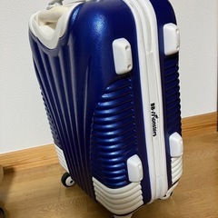 BB-Monsters 青龍スーツケース の画像