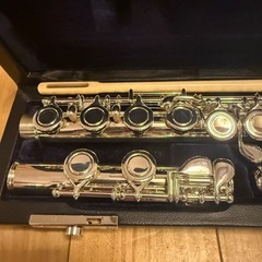 ANDREAS EASTMAN EFL210SE 入門用 フルート 島村楽器
