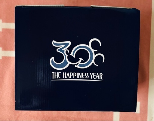 ディズニーランド　30周年　置物　オブジェ　