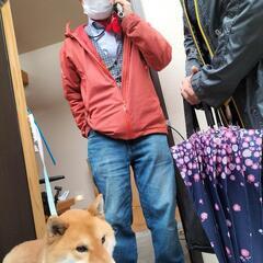 柴のゆうくんいなべ市のT様に迎えて頂きました