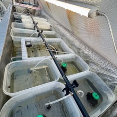 決まりましたの画像