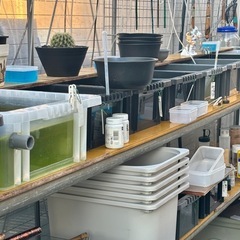 決まりましたの画像