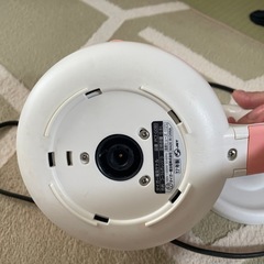 決まりました。タイガーわく子の画像