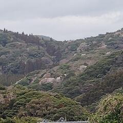 串間市恋ヶ浦近くの山林売買36986平方メートル - 不動産