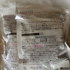 2袋×120粒 大塚製薬 エクエル パウチタイプ エクオール EQUELLEの画像