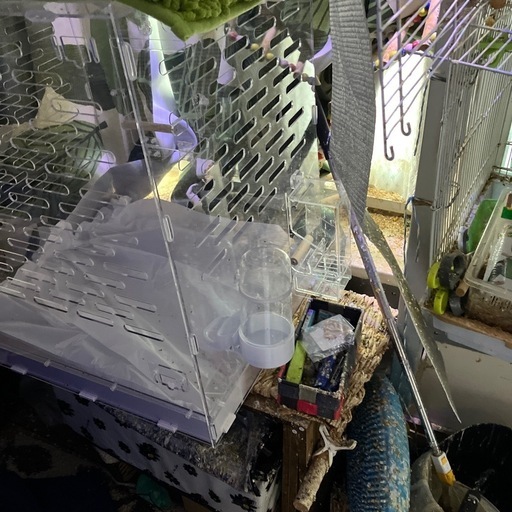 鳥小屋アクリル製です。