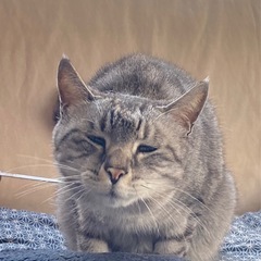 おはようございます😊 - 友達