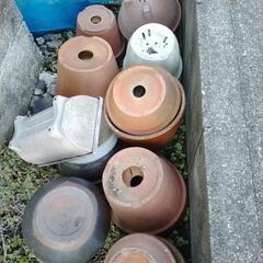 プランター　陶器　植物