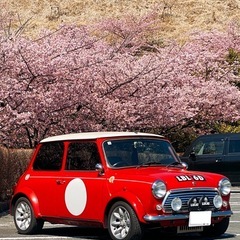 ローバーミニ  40THアニバーサリーLTD AT車